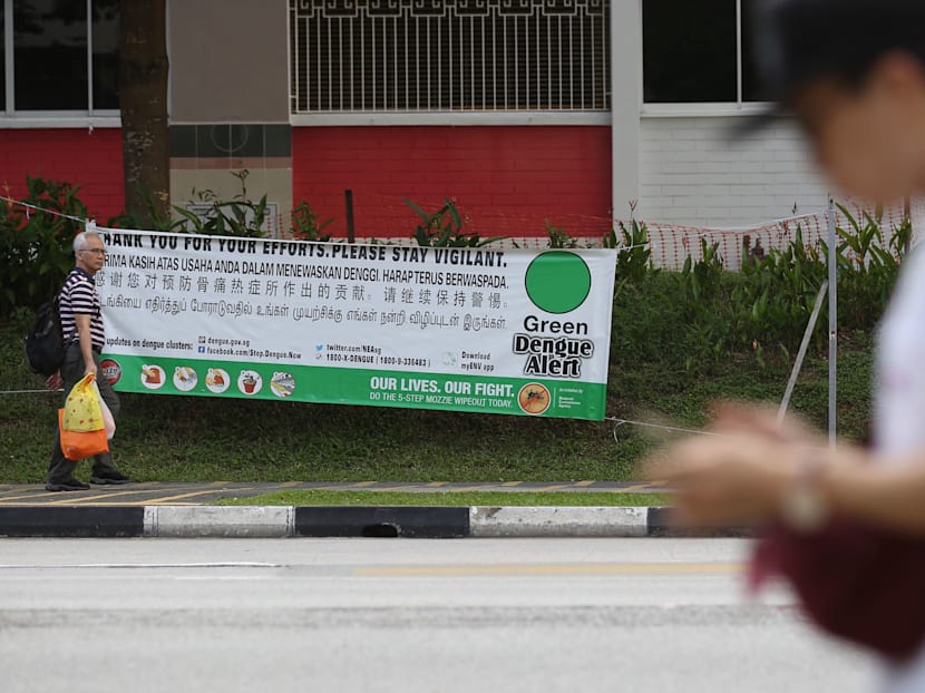 Rise in dengue cases underscores need for constant vigilance