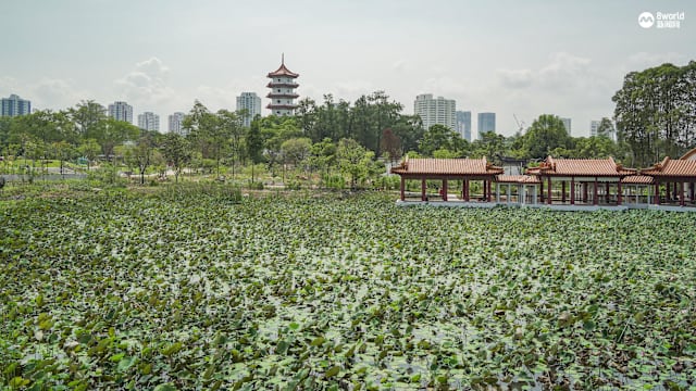 理解问答：裕华园及星和园重开