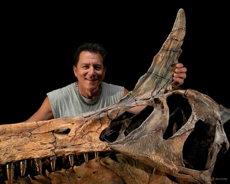 A Sahara desert odyssey yields a major dinosaur discovery