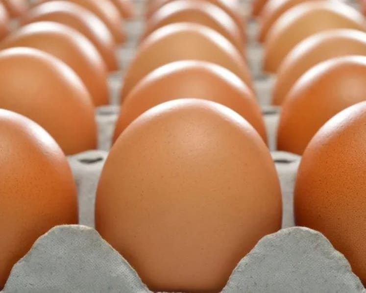 Singapore to start importing eggs from Indonesia