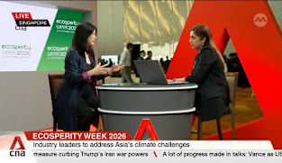 Carbon markets regaining credibility as standards tighten: Choo 