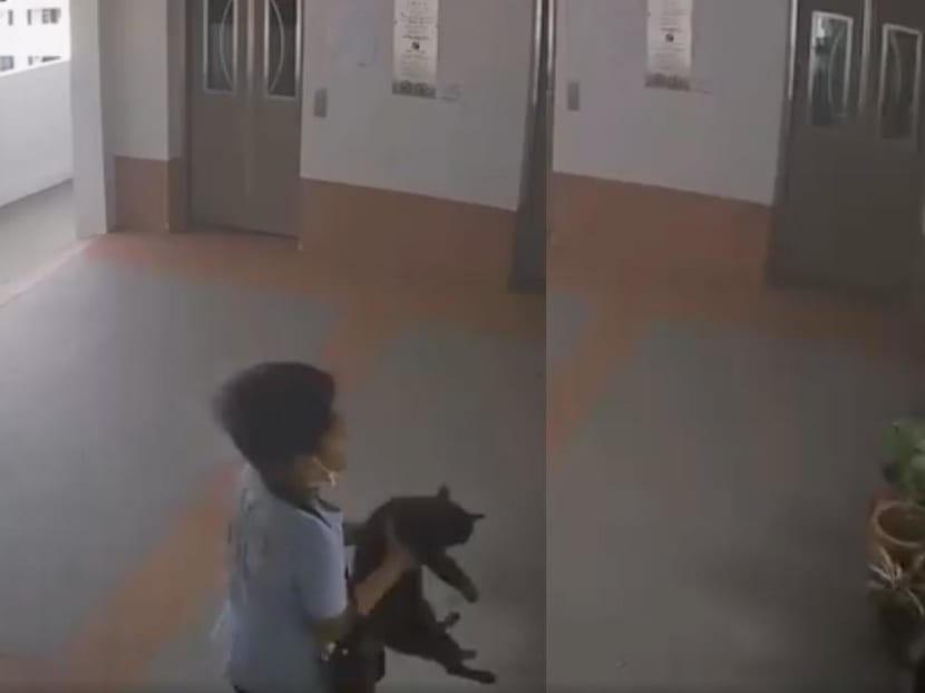 Commentary: When children are cruel to animals, there&rsquo;s usually an underlying trigger