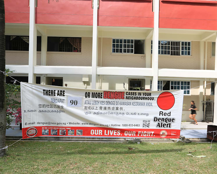 Spike in dengue cases last week: NEA