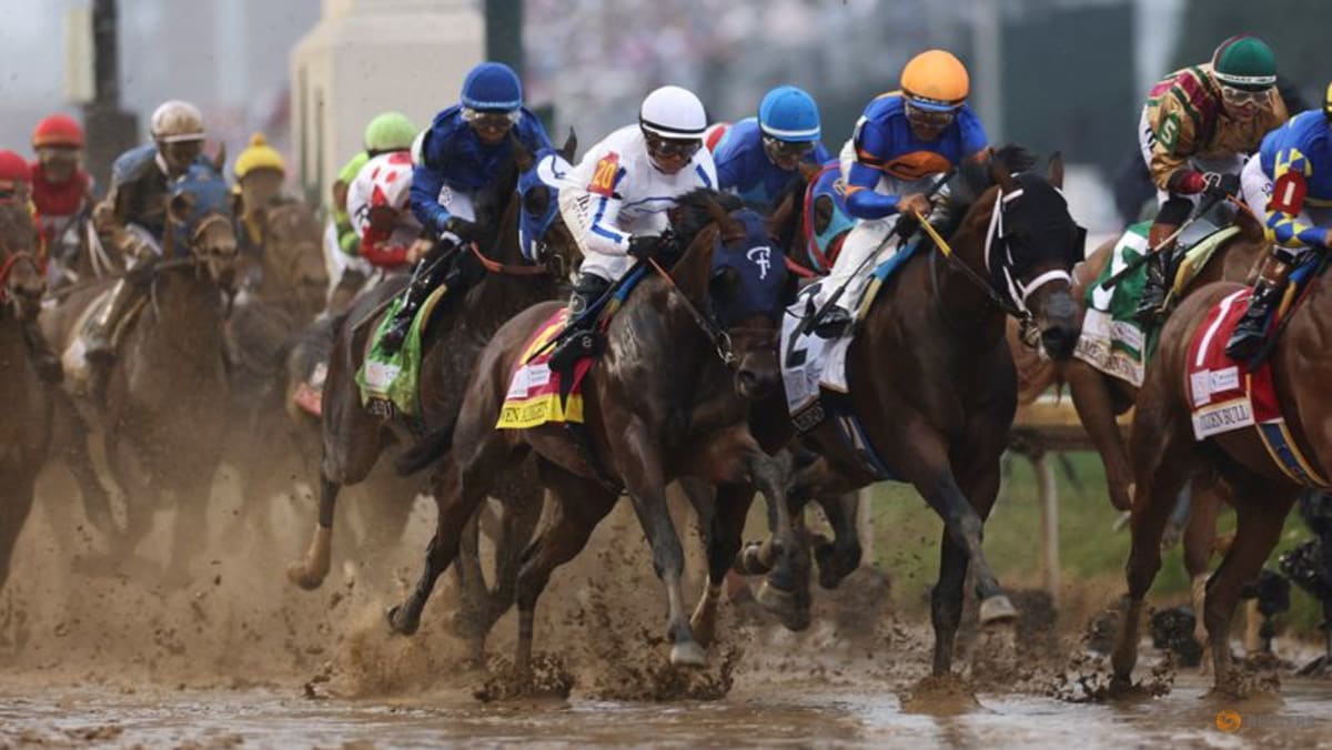 Horse racing-Churchill Downs to buy Preakness intellectual property for $85 million