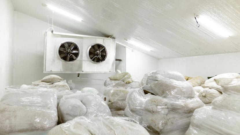 Singapore to tighten rules on refrigerants used in supermarkets, vehicles