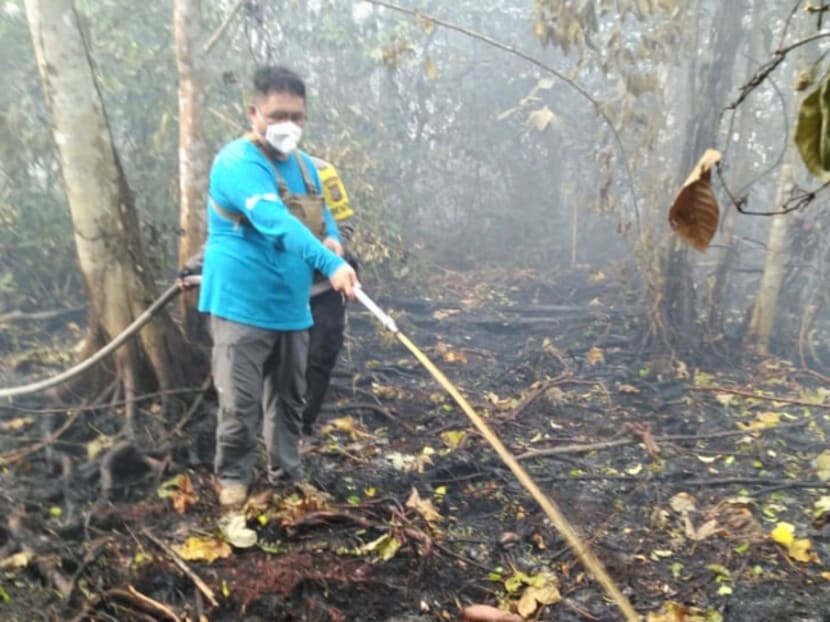 Singaporean Benjamin Tay (right) joined volunteer firefighters in Tanjung Sari village to help put out a peatland fire. Singaporean Benjamin Tay (right) joined volunteer firefighters in Tanjung Sari village to help put out a peatland fire.