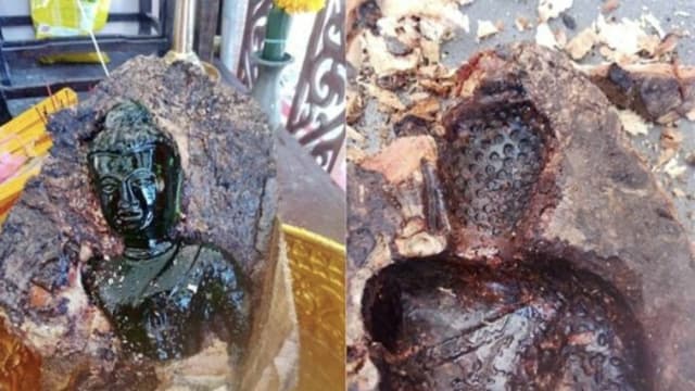 泰国春武里府芒果树 “长”出百年翡翠佛像
