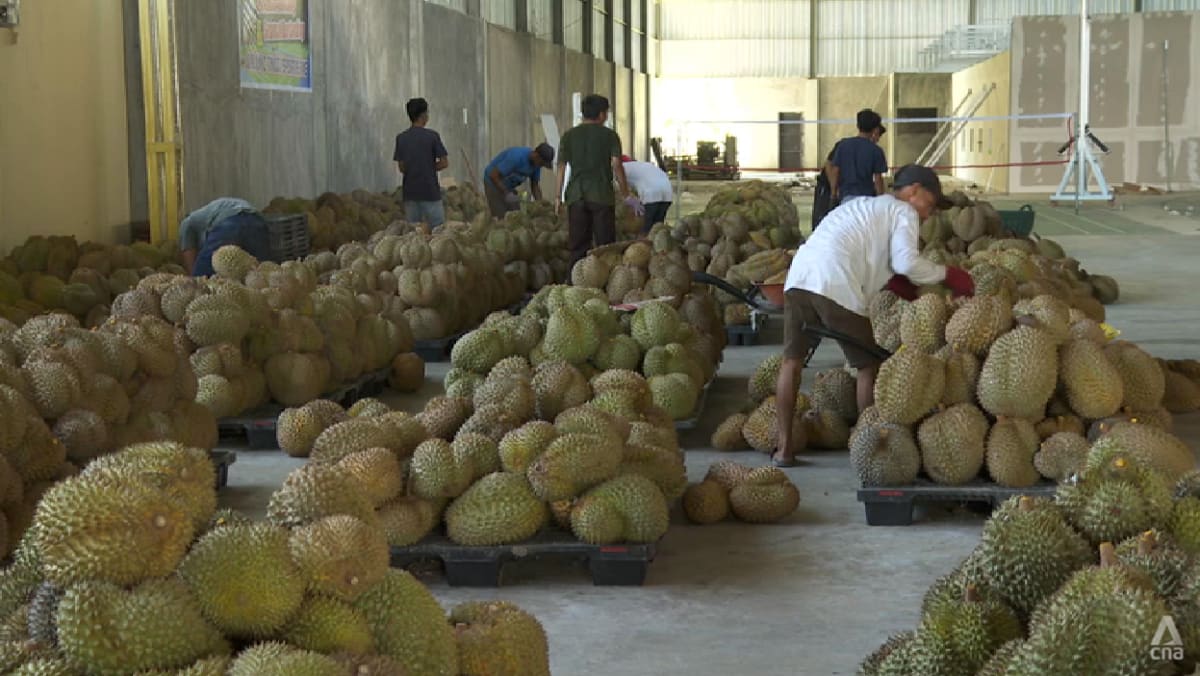 ‘Durian diplomacy’: Indonesia aims to begin exports of frozen durians to China this year