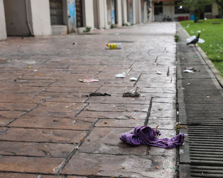  Onus on flat owners, tenants to prove innocence or bear responsibility for high-rise littering under proposed law