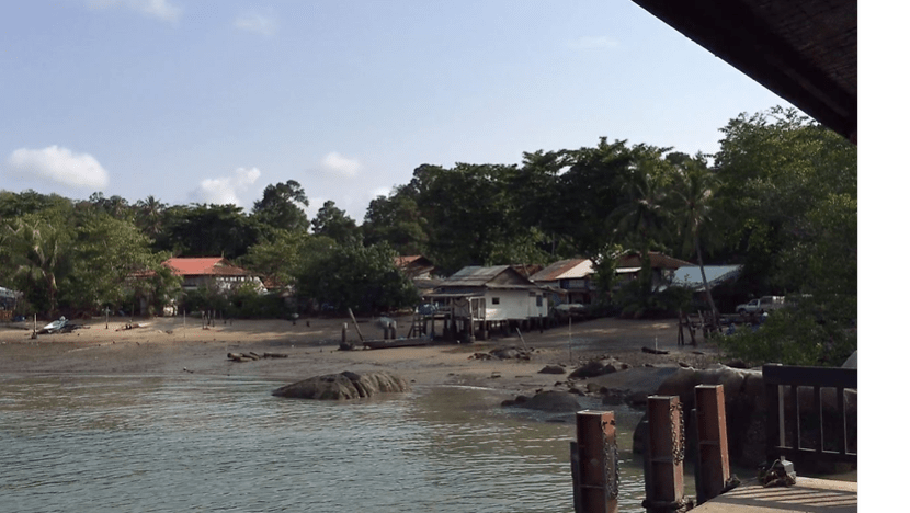 Pulau Ubin resident charged with failing to take dog to vet, asks judge to understand village life