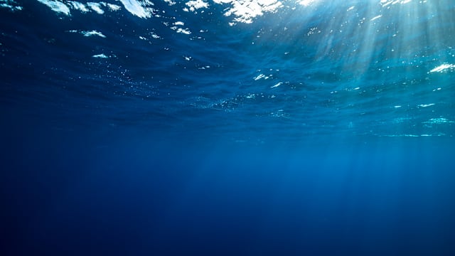 政府将投资6000万元 成立海洋科学卓越研究中心