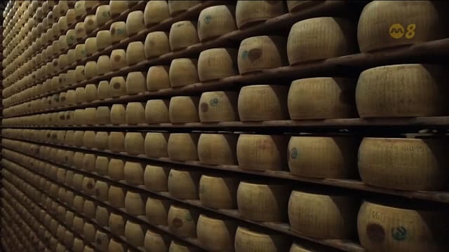 欧洲热浪冲击帕玛森奶酪业 产奶减少成本攀升