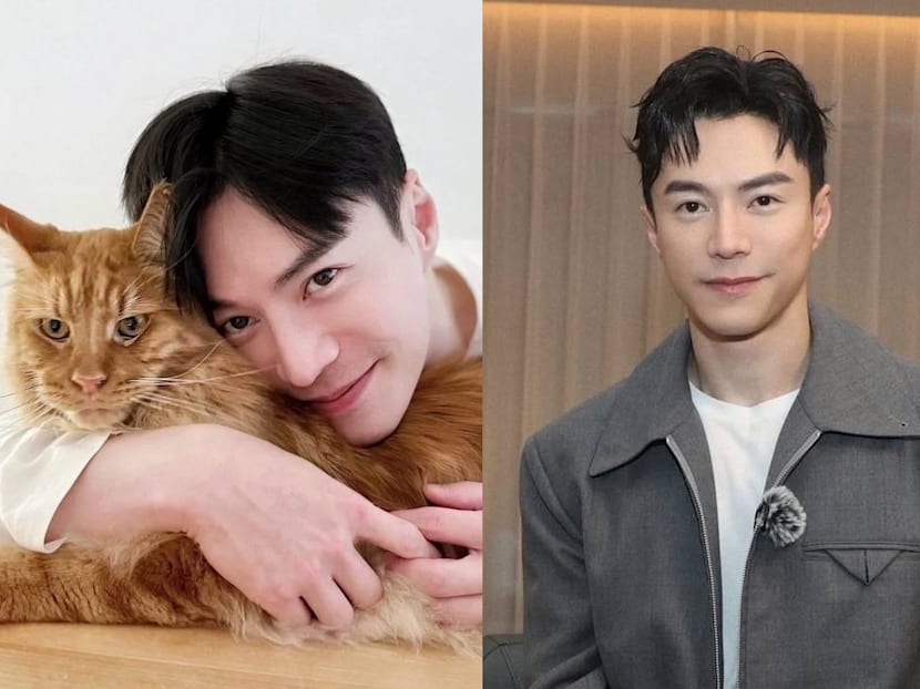 Actor Lawrence Wong reveals he lived in rental flat for low-income residents before finding fame