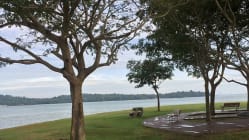 Related article image