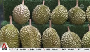Singapore durian sellers say prices to drop by up to 30% during peak harvest period in July