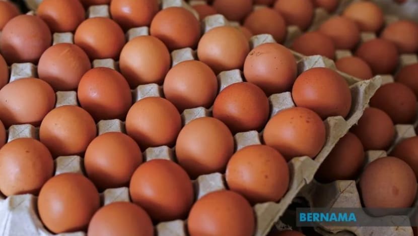 M'sia akan import telur untuk tampung keperluan dalam negara