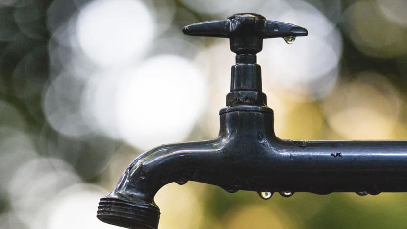 Many households still not adopting good water practices for toilet washing, food preparation: PUB