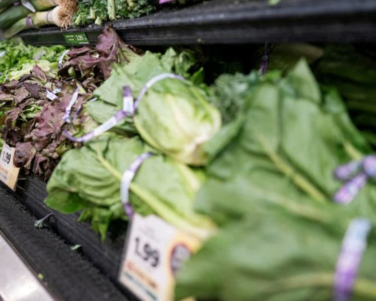 CDC expands largest known cyclospora outbreak to 15 states, Washington Post reports