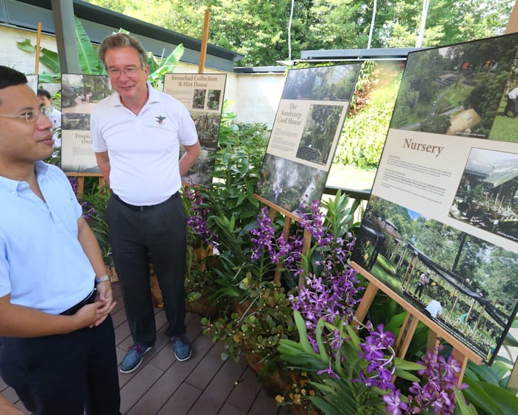 More enhancements to National Orchid Garden underway