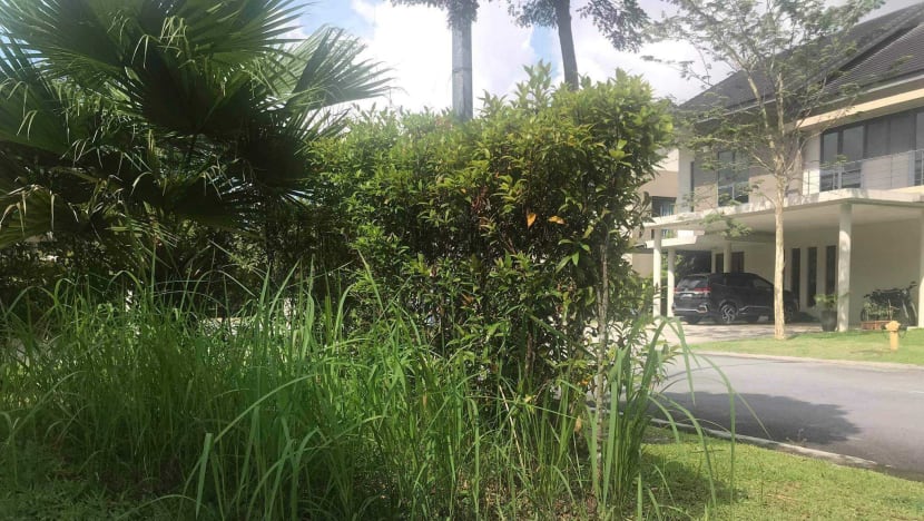 S’poreans with homes in Malaysia in limbo due to border restrictions, some paying double the living costs