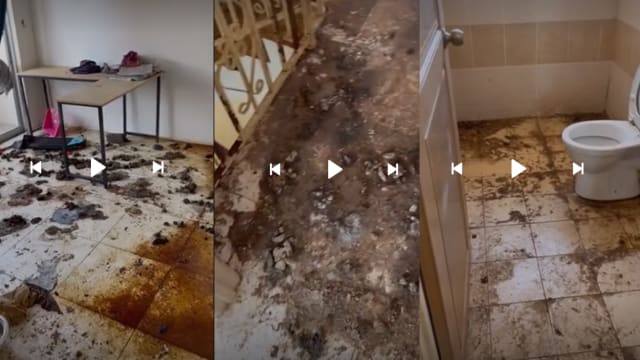 首次出租屋子就遇恐怖租客 马国屋主返屋惊见满地狗屎