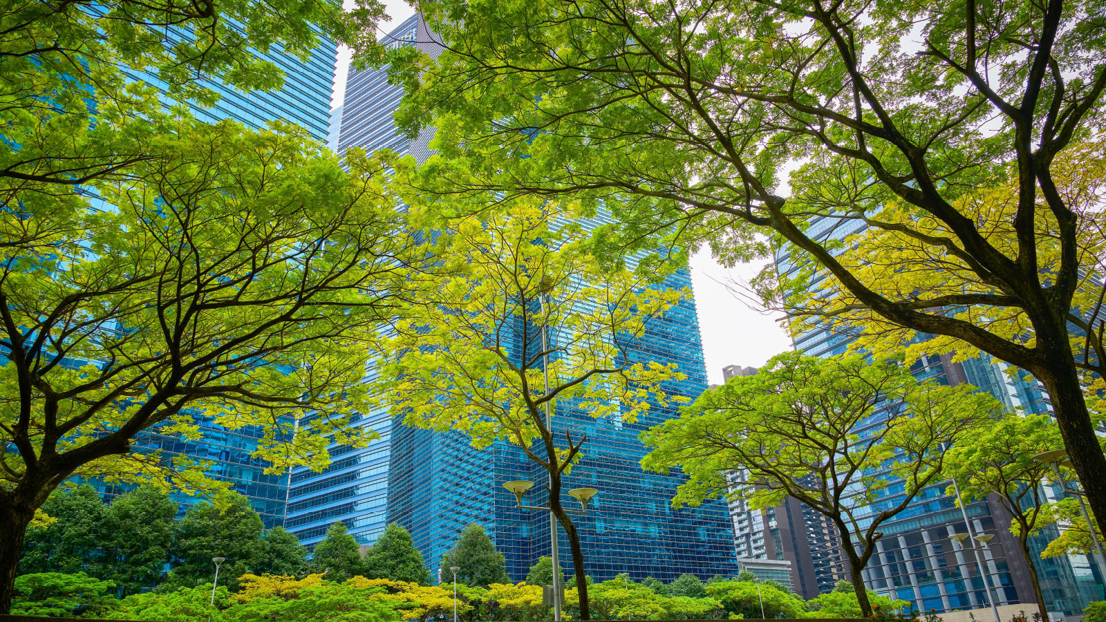 Navigating climate risks in a carbon-constrained world - CNA