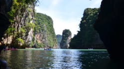 Related article image