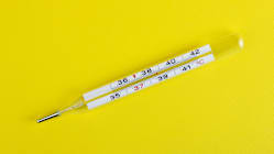 Related article image