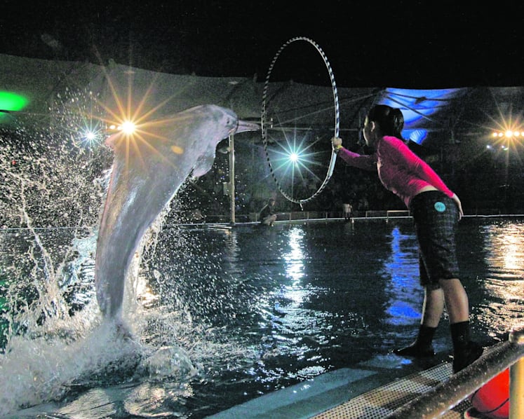 Underwater World closure plan draws flak from animal lovers