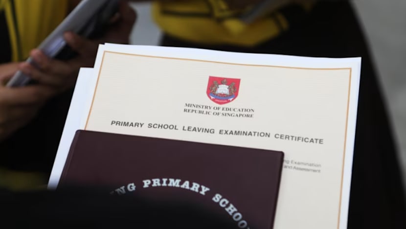 Keputusan PSLE ​​akan dikeluarkan pada 25 Nov
