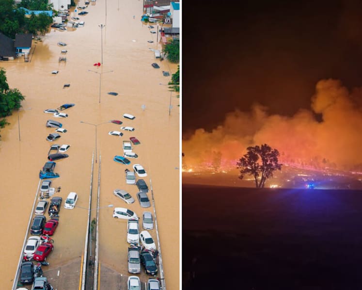 Commentary: I was struck by climate fatigue until I listened to this Oscar-winning filmmaker