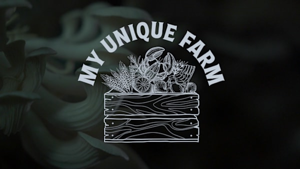 On The Red Dot: My Unique Farm