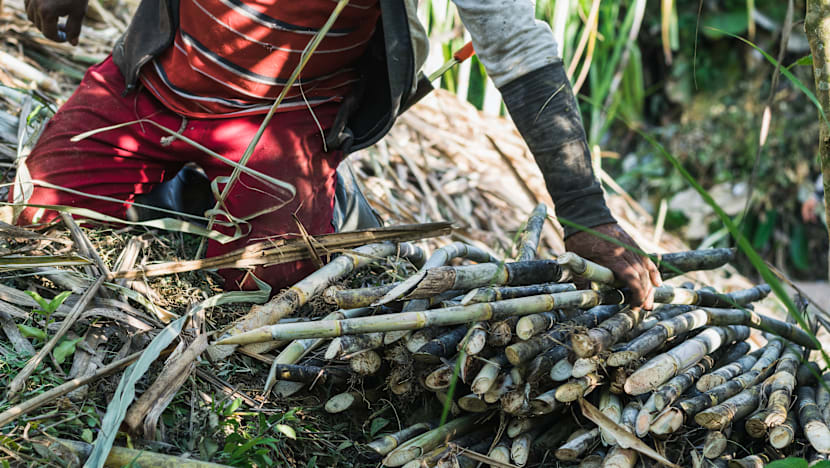 Related article image