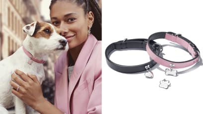 00_pandora_pets_main