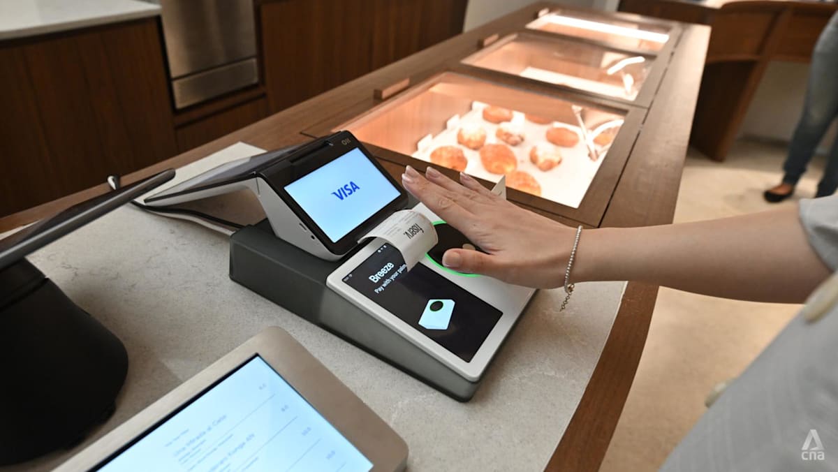 No wallet, no phone, no problem: How you could pay with just your palm in  future - CNA