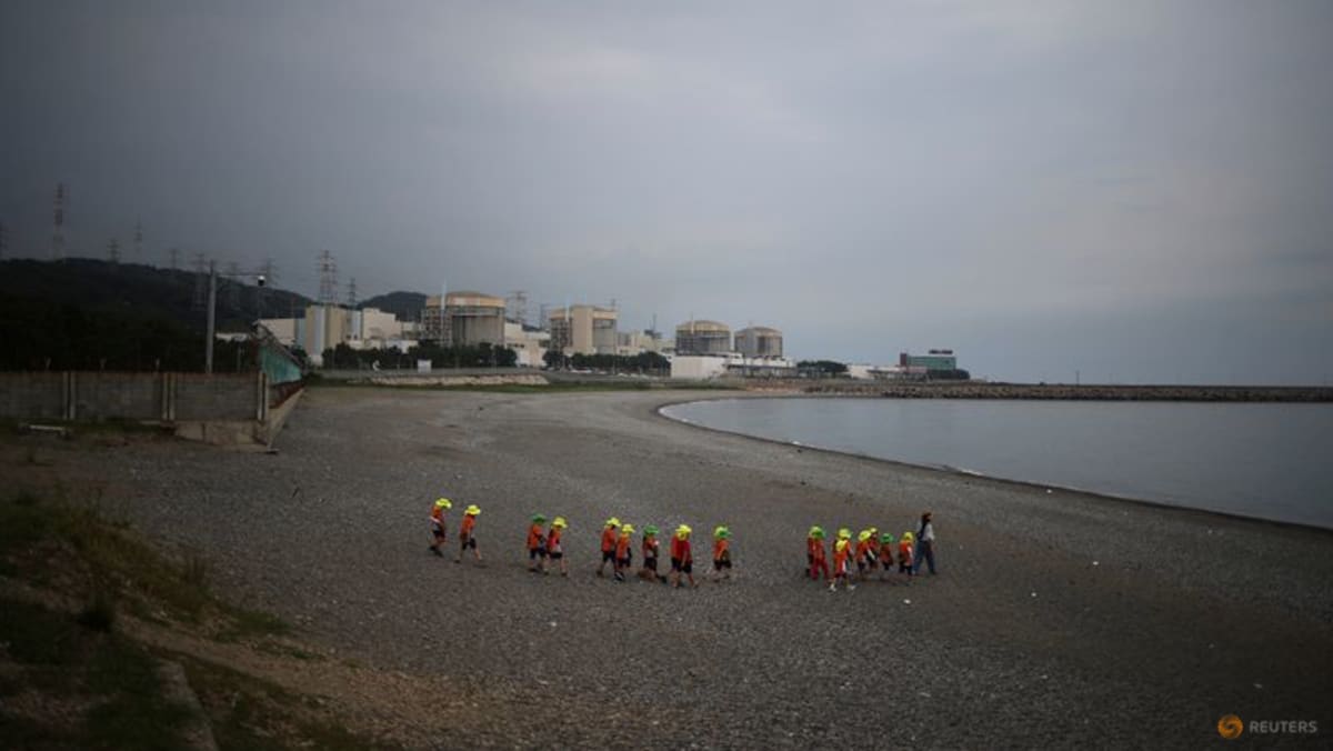 South Korea's nuclear power output surges as coal use plunges