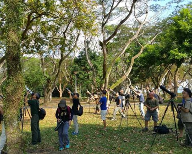 Nature under stress from photography boom