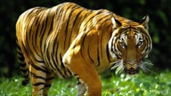 Related article image
