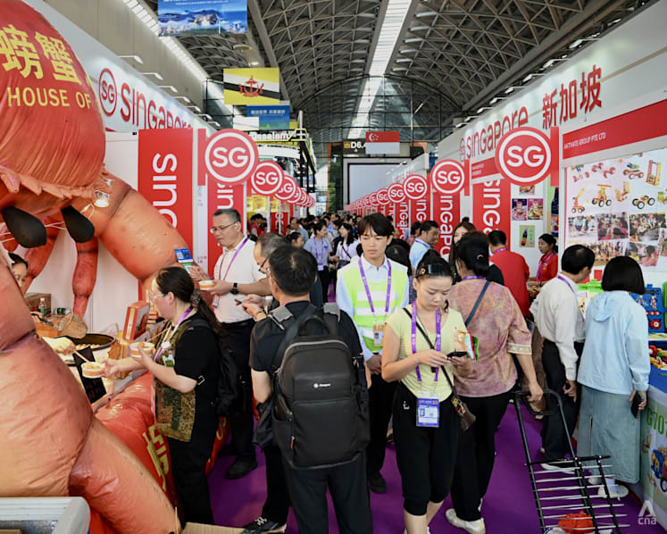 From ‘red ocean’ to ‘blue ocean’: Why Singaporean firms are exploring Nanning to enter China’s market From ‘red ocean’ to ‘blue ocean’: Why Singaporean firms are exploring Nanning to enter China’s market
