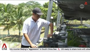 Young farmers enter industry despite challenges like slow career progression  Young farmers enter industry despite challenges like slow career progression