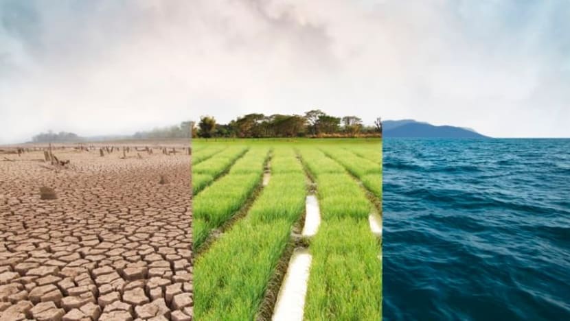 COP26: 10 sebab mengapa sidang ini detik penting dalam usaha tangani perubahan iklim