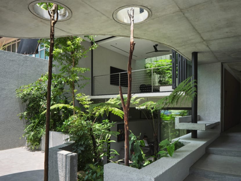 The Raumplan House: An intermediate terrace house in Singapore filled with light and greenery The Raumplan House: An intermediate terrace house in Singapore filled with light and greenery