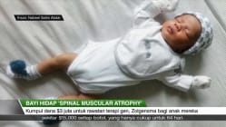 Related article image