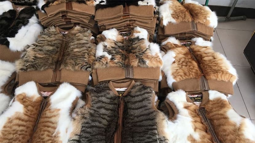 Facebook post alleging cats being tortured, killed for fur in China goes viral