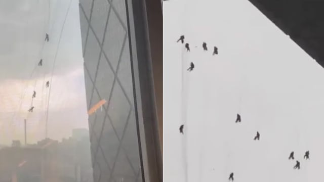 北京大楼外惊现“蜘蛛人” 狂风中摇荡场面惊险