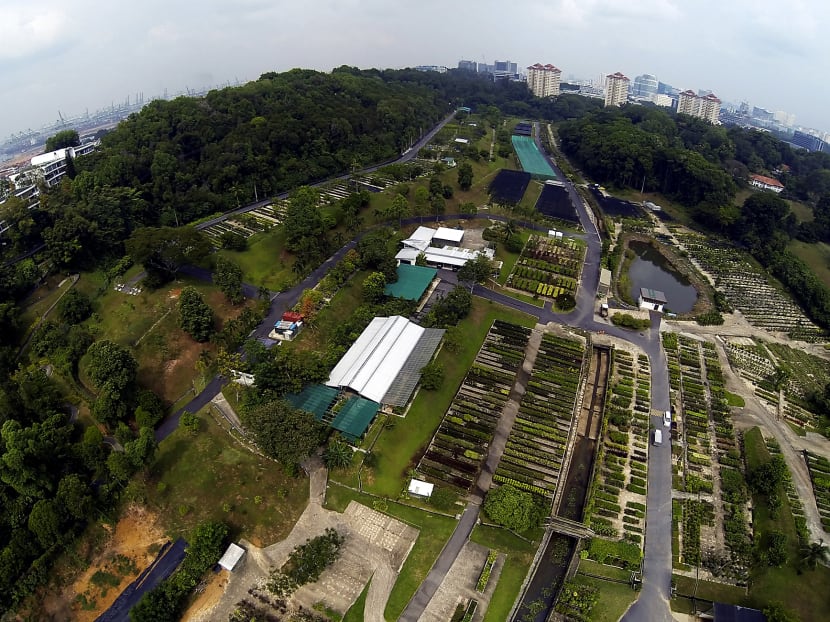 NEA launches ‘no waste days’ challenge