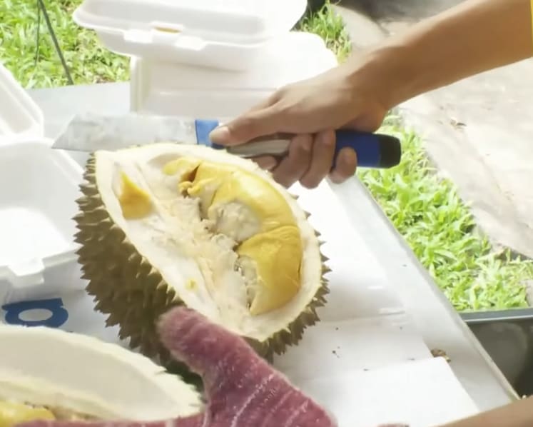 Musang King durian prices to stay at 10-year low for about 2 more weeks, say sellers