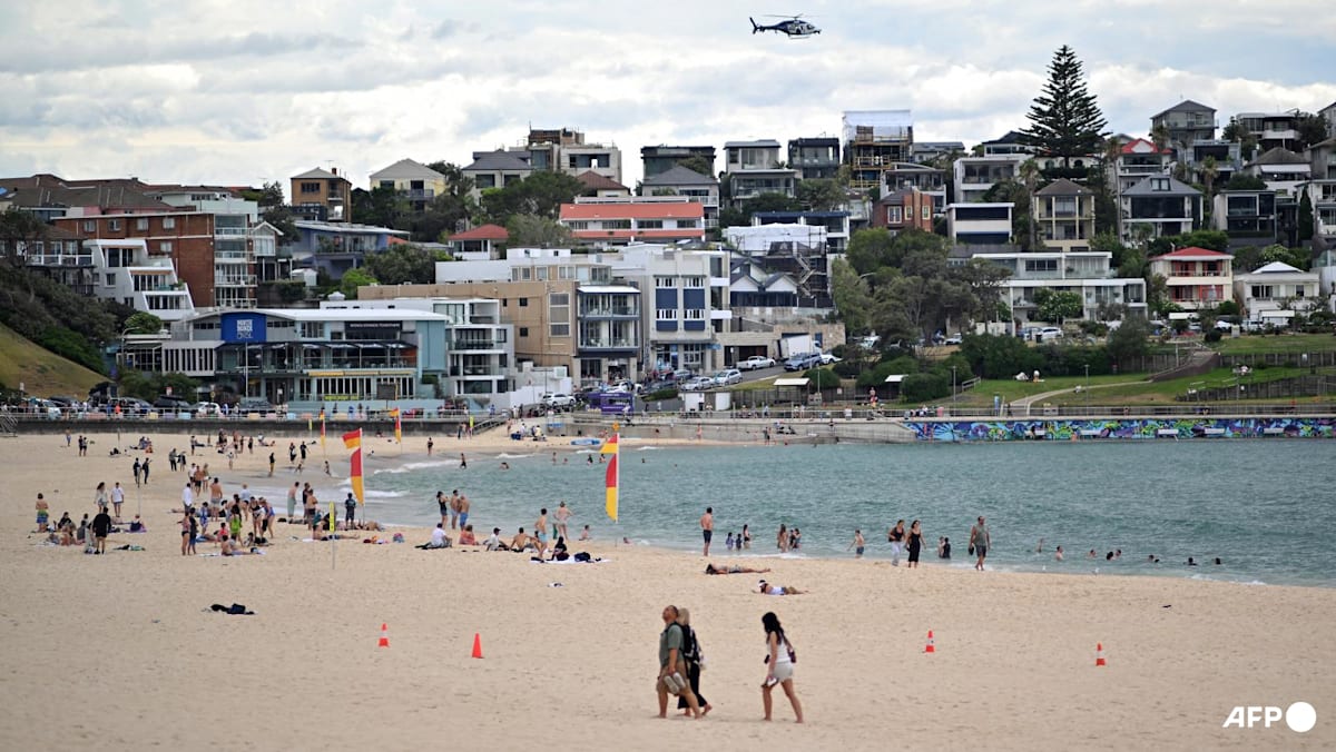 Australian state poised to approve sweeping new gun laws, protest ban