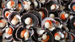 Related article image