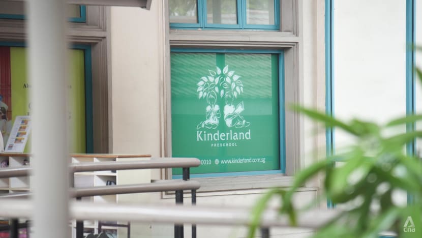 Footage of alleged abuse viewed by Kinderland disciplinary panel more than a week after ex-principal saw it Footage of alleged abuse viewed by Kinderland disciplinary panel more than a week after ex-principal saw it